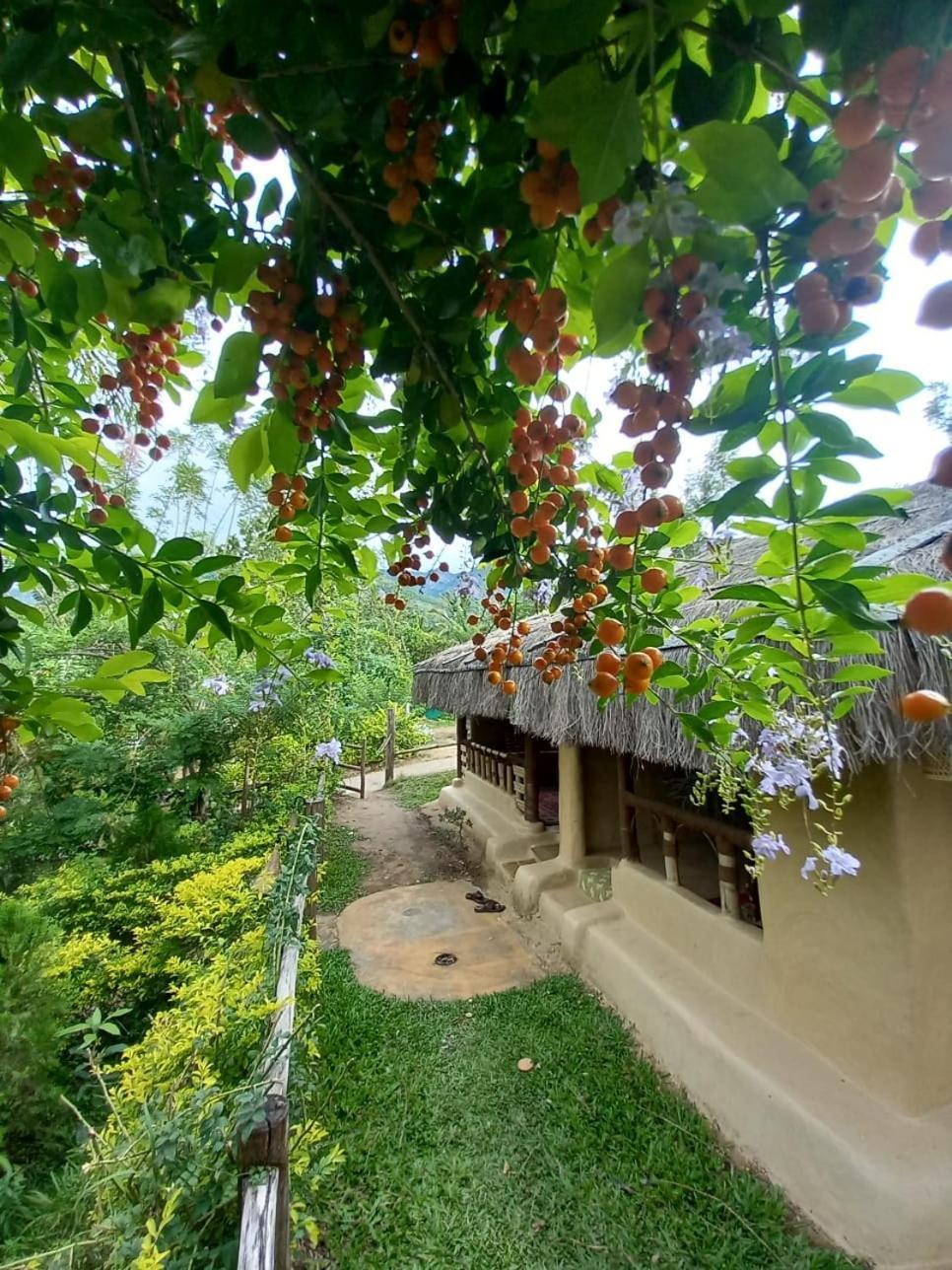 Nature Tones By Brdge Hospitality Maraiyūr Exterior foto